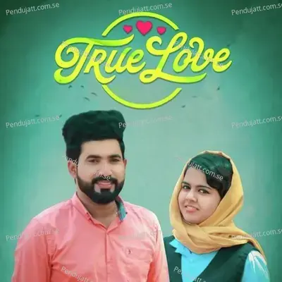 True Love - Nishaja Febin album cover 