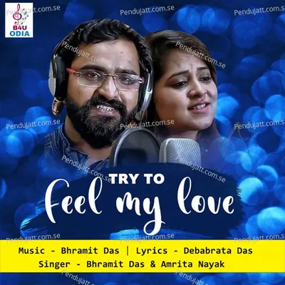 Try To Feel My Love - Bhramit Das album cover 