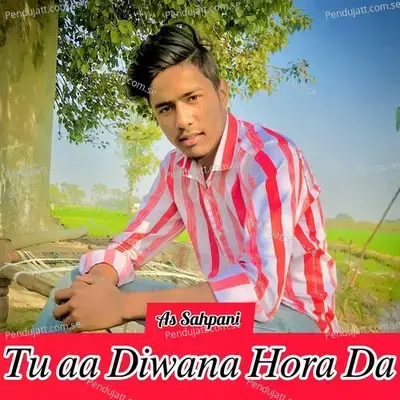 Tu Aa Diwana Hora Da - As Sahpani album cover 