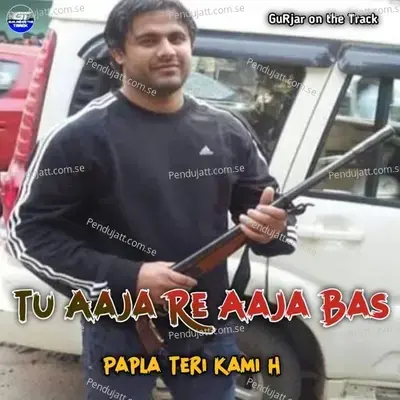 Tu Aaja Re Aaja Bas Papla Teri Kami H - Anil Chandela album cover 