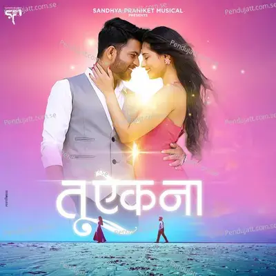 Tu Aik Na - Hrishikesh Ranade album cover 