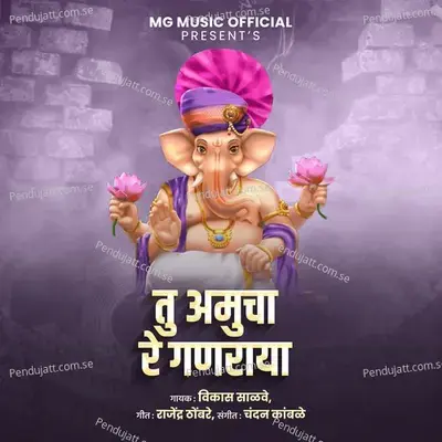 Tu Amucha Re Ganraya - Vikas Salve album cover 