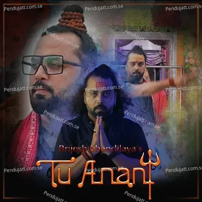 Tu Anant - Brijesh Shandilya album cover 