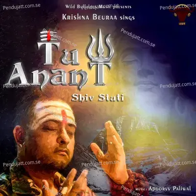 Tu Anant - Krishna Beura album cover 