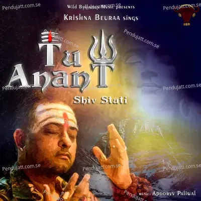 Tu Anant - Krishna Beuraa album cover 