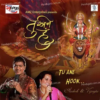 Dholi Naa Taal - Rajesh Mishra album cover 