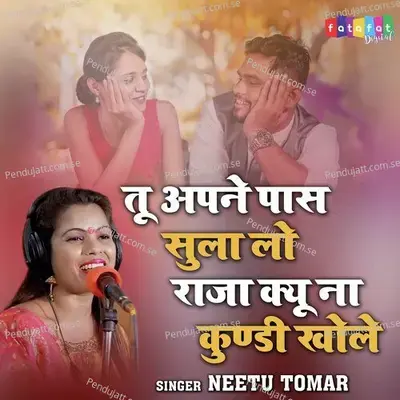 Tu Apne Paas Sula Lo Raja Kyu Na Kundi Khole - Neetu Tomar album cover 