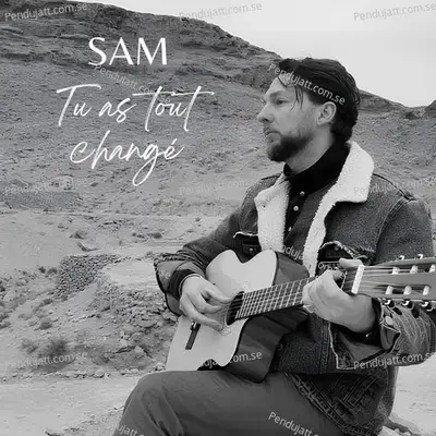 Tu As Tout Chang   - Sam