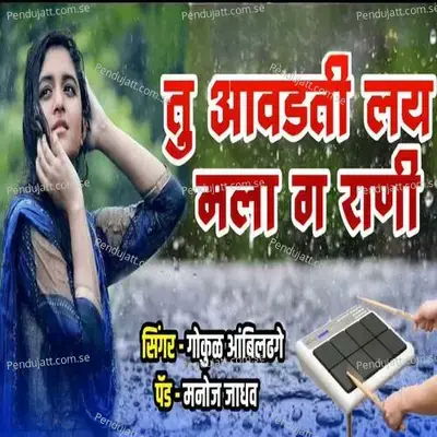 Tu Awadati Lay Mala G Rani - Gokul Ambildhage album cover 