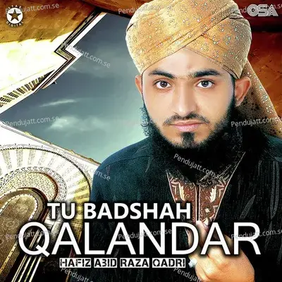 Tu Badshah Qalandar - Hafiz Abid Raza Qadri album cover 