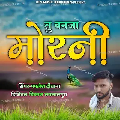 Mhara Munda Ma Chamak - Paplesh deewana album cover 