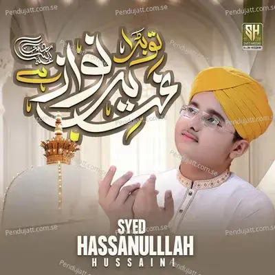 Tu Bara Ghareeb Nawaz Hai - Syed Hassan Ullah Hussaini album cover 