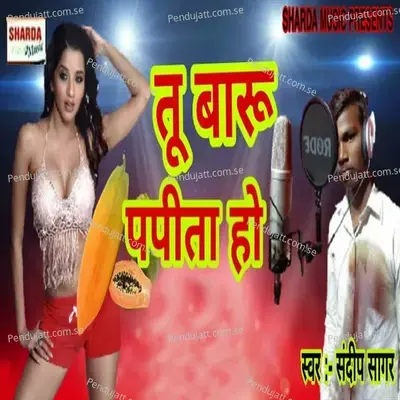 Tu Baru Papita Ho - Sandip Sagar album cover 