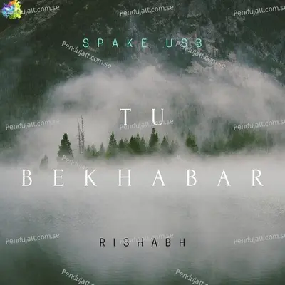 Tu Bekhabar - Spake Usb album cover 