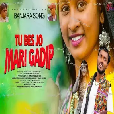 Tu Bes Jo Mari Gadip - Gulab Chavan album cover 