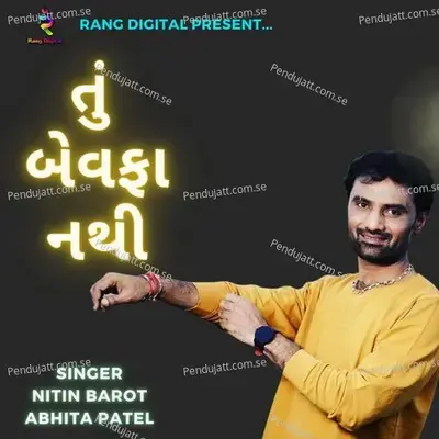 Tu Bewafa Nathi - Nitin Barot album cover 