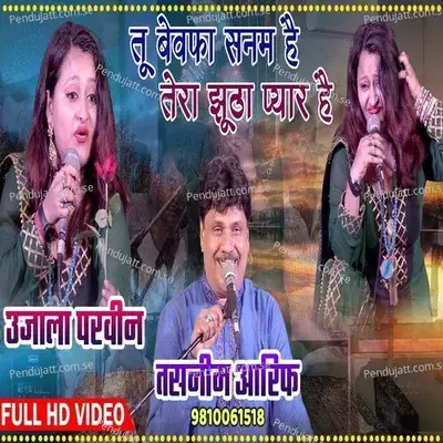 Tu Bewafa Sanam Hai Tera Jhutha Pyar Hai - Tasneem Arif album cover 