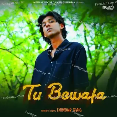 Tu Bewafa - Taimour Baig album cover 