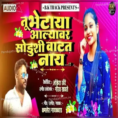 Tu Bhetaya Alyavar Sodushi Vatat Naay - Kamlesh Gaikwad album cover 