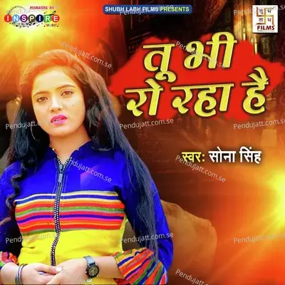 Tu Bhi Ro Raha Hai - Sona Singh