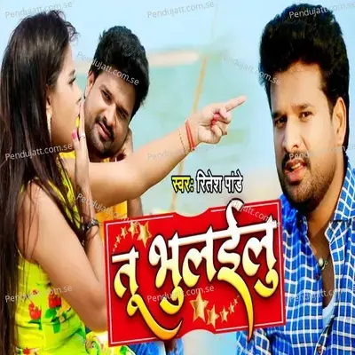 Tu Bhulailu mp3 song