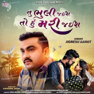 Tu Bhuli Jaish To Hu Mari Jaish - Jignesh Barot album cover 