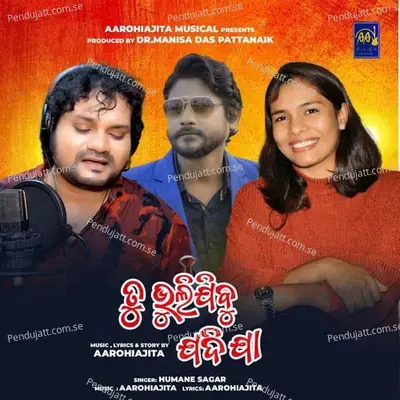 Tu Bhulijibu Jadi Jaa - Humane Sagar album cover 