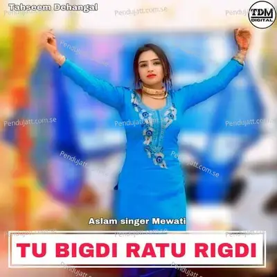 Tu Bigdi Ratu Rigdi - Aslam Singer Mewati album cover 