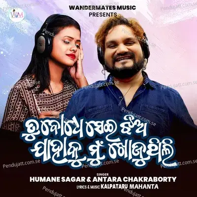 Tu Bodhe Sei Jhio Jahaku Mu Khojuthili - Humane Sagar album cover 