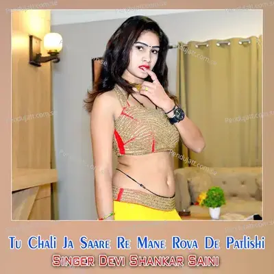 Tu Chali Ja Saare Re Mane Rova De Patlishi - Devi Shankar Saini album cover 