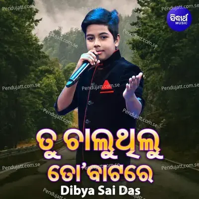 Raja Jhia Sange Heigala Bhaba - Dibya Sai Das album cover 