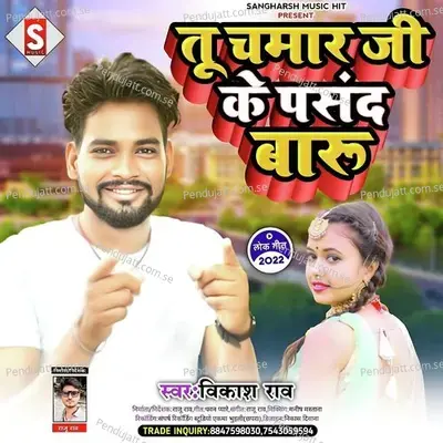 Tu Chamar Ji Ke Pasand Baru - Vikash Rao album cover 