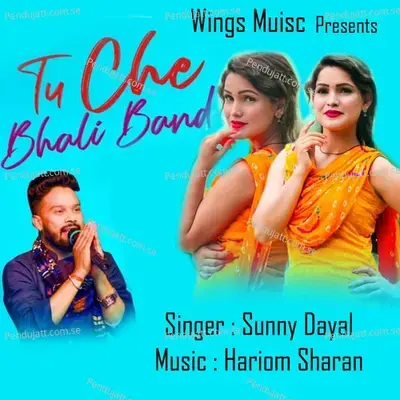 Tu Che Bhali Band - Sanny Dayal album cover 