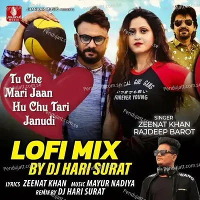 Tu Che Mari Jaan Hu Chu Tari Janudi Lofi Mix - Rajdeep Barot album cover 