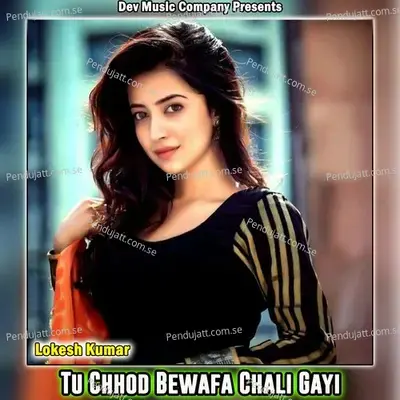 Tu Chhod Bewafa Chali Gayi - Lokesh Kumar album cover 