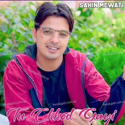 Tu Chhod Gayi - Sahin Mewati album cover 