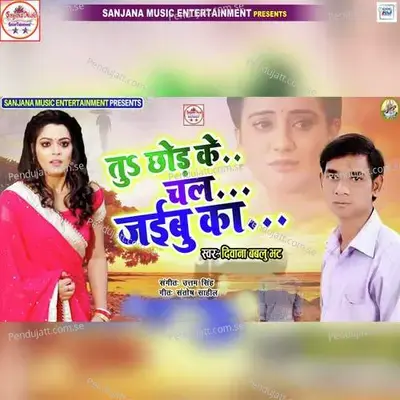 Tu Chhod Ke Chal Jaibu Ka - Deewana Bablu Bhatt album cover 