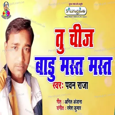 Tu Chij Badu Mast Mast - Pawan Raja album cover 