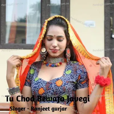 Tu Chod Bewafa Javegi - Ranjeet Gurjar album cover 