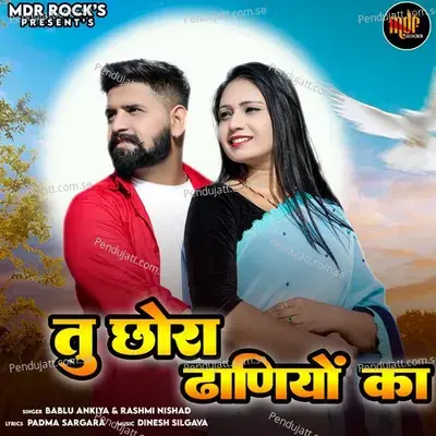 Tu Chora Dhaniyo Ka - Bablu Ankiya album cover 
