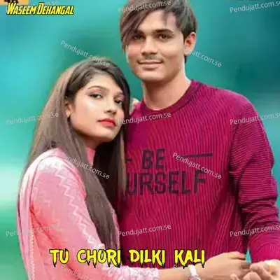 Tu Chori Dilki Kali - Waseem Dehangal album cover 