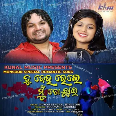 Tu Deha Hele Mu To Chhai - Humane Sagar album cover 