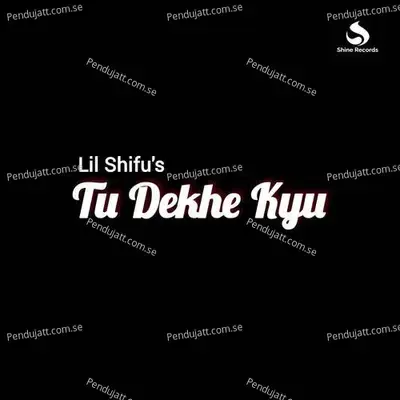 Tu Dekhe Kyu - Lil Shifu album cover 