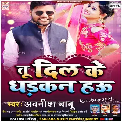 Tu Dil Ke Dhadkan Hau - Awanish Babu album cover 