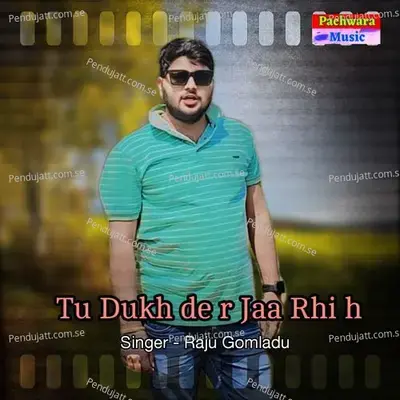 Tu Dukh De R Jaa Rhi H - RAJU GOMLADU album cover 