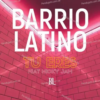 Tu Eres - Barrio Latino album cover 