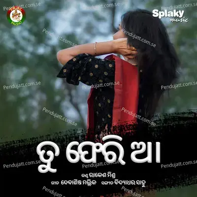 Tu Feri Aa Male - Rakesh Mishra album cover 