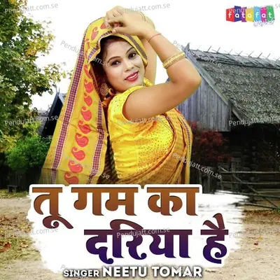 Tu Gam Ka Dariya Hai - Neetu Tomar album cover 