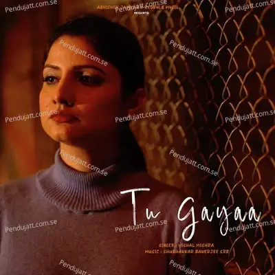 Tu Gayaa - Vishal Mishra album cover 