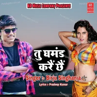 Tu Ghamand Kare Chhe - Birju Singhania album cover 